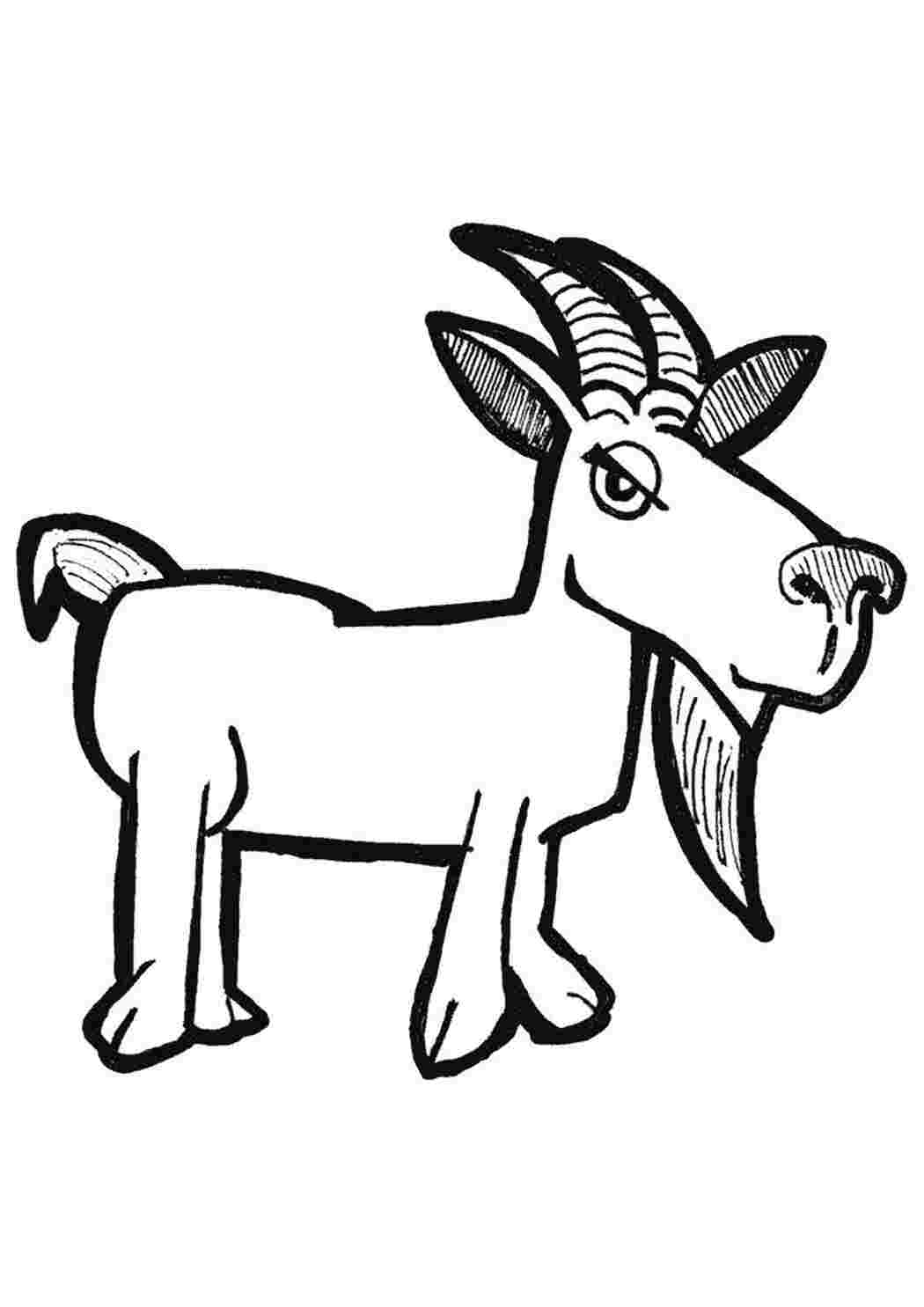 Раскраска розмальовка козел
