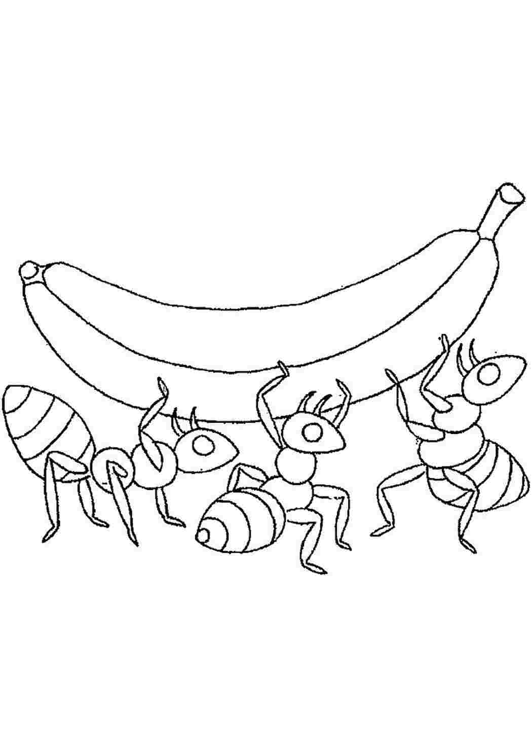 Раскраска 