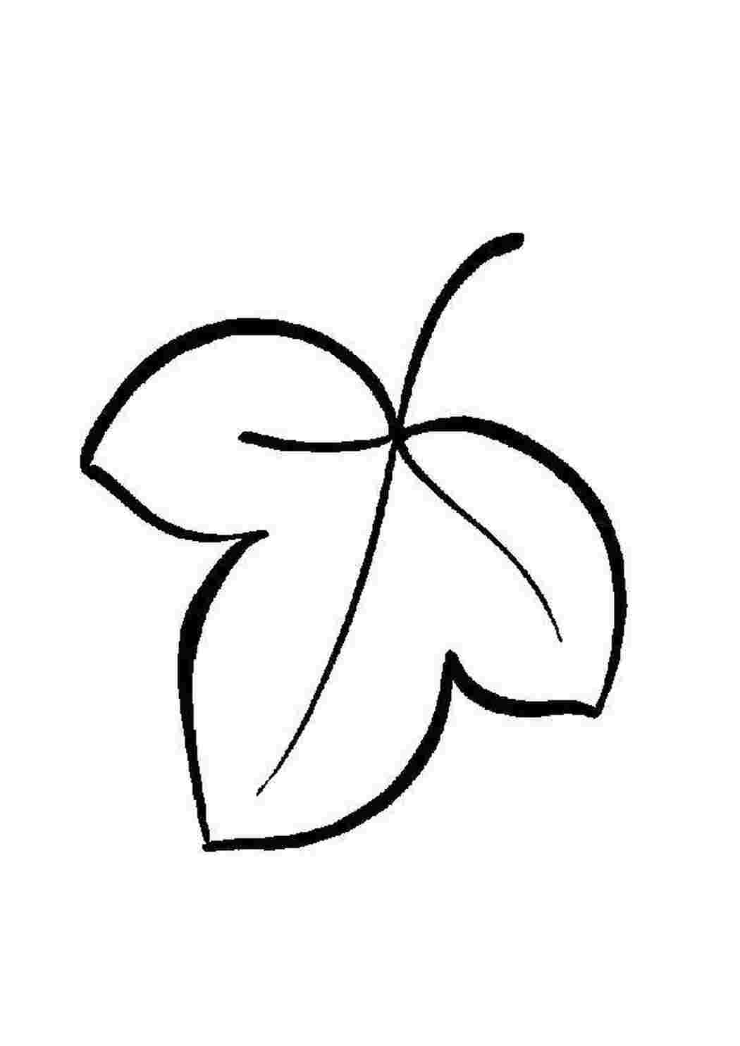 Раскраска Лист