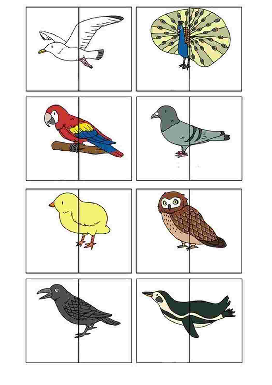 Раскраска Картки які потрібно вирізати і дати дітям щоб вони знайшли пару