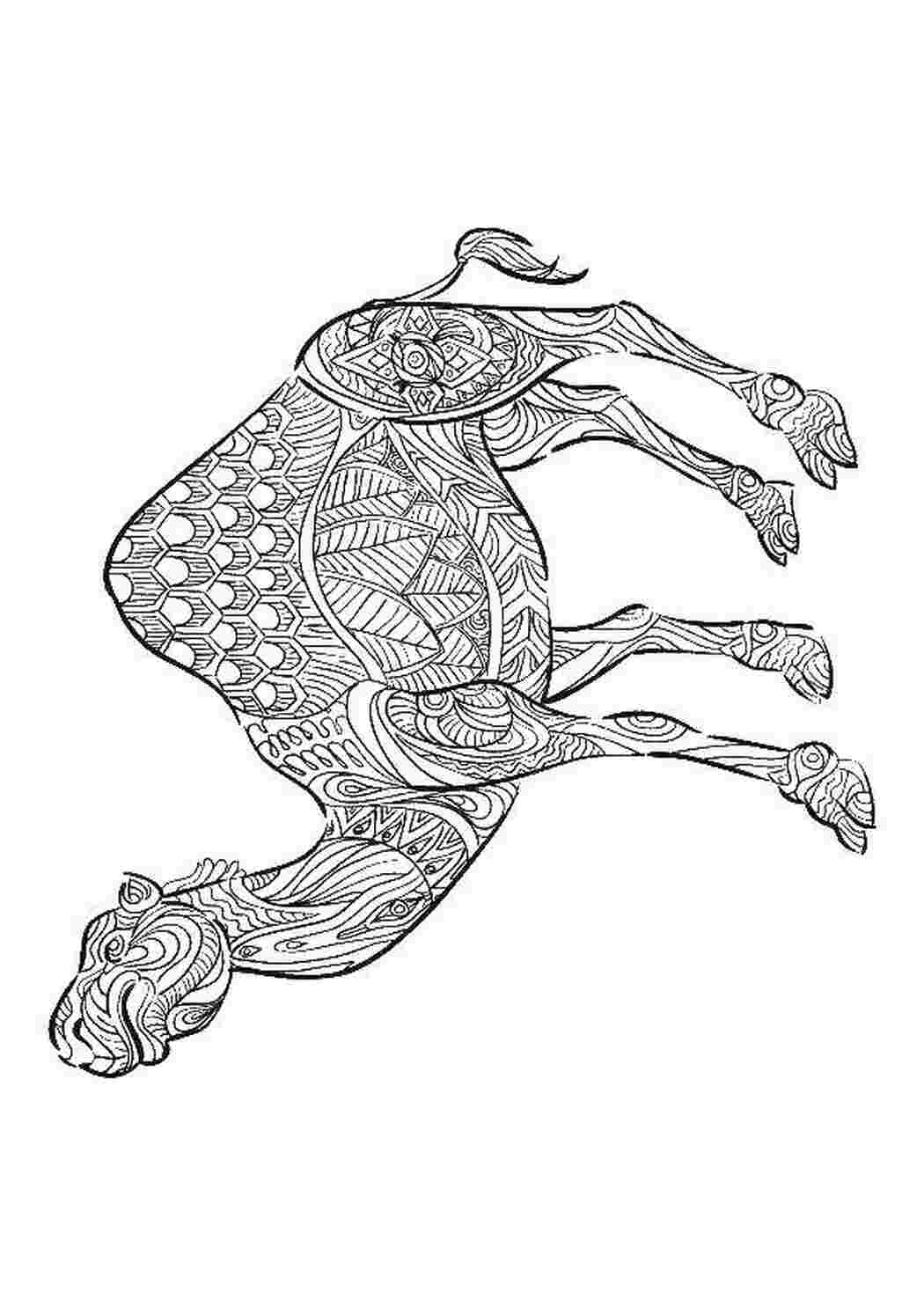 Раскраска Розфарбування антистрес