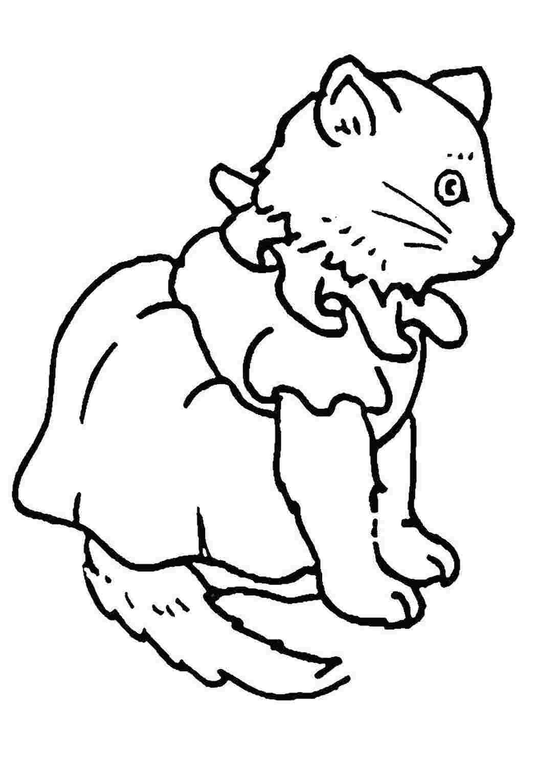 Раскраска Кошеня