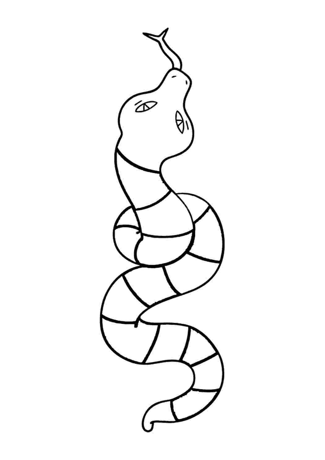 Раскраска Гарні розмальовки Змії вид зверху