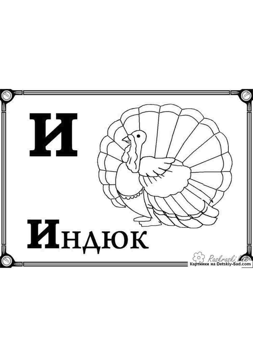 Раскраска малюнки індика домашня птиця