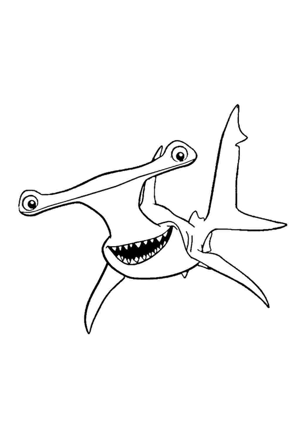 Раскраска Гарні розмальовки Акула з мультфільму