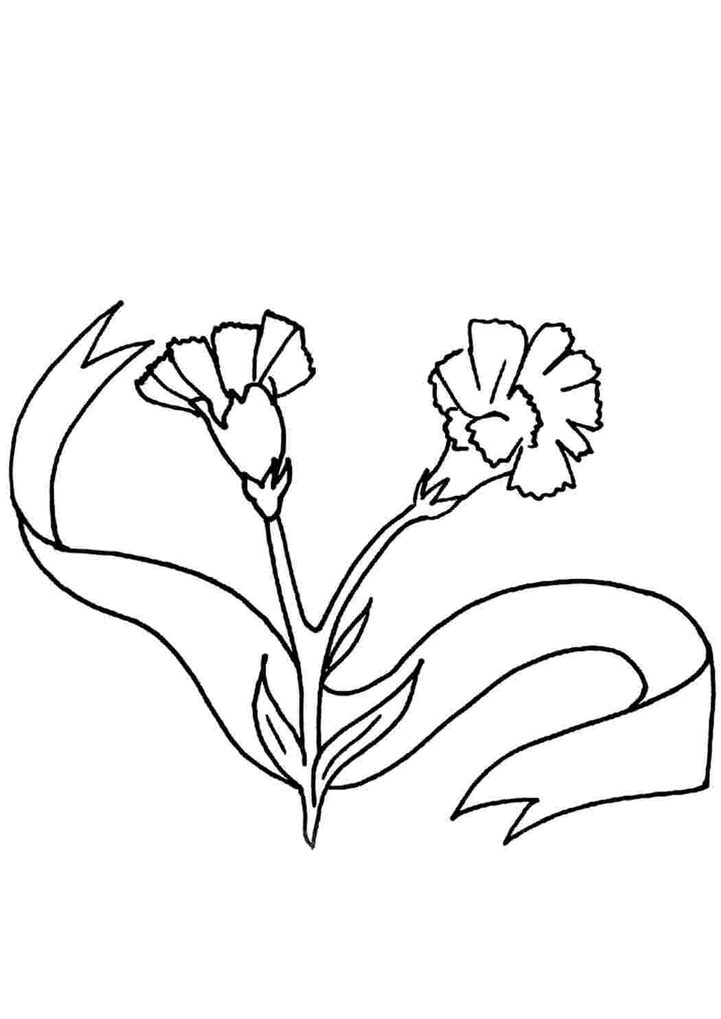 Раскраска Гарні розмальовки Квіти Захисникам