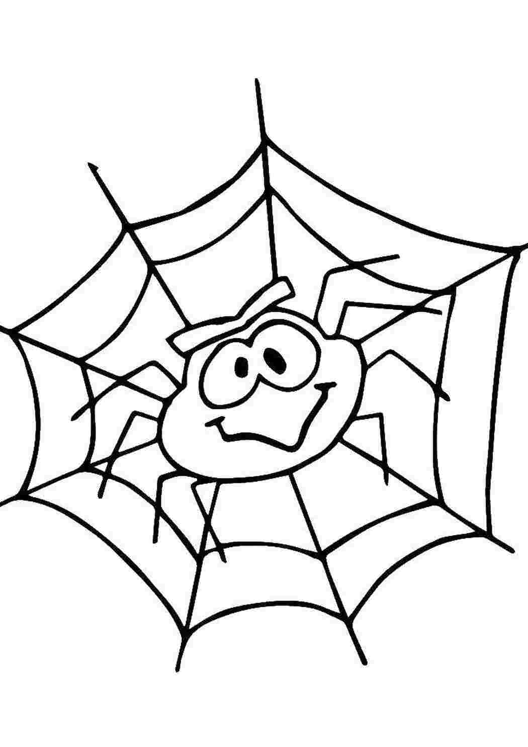 Раскраска Павук на павутині