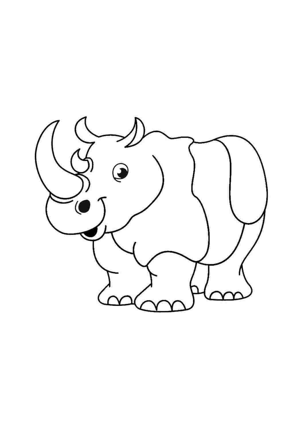 Раскраска Гарні розмальовки Цікавий носоріг
