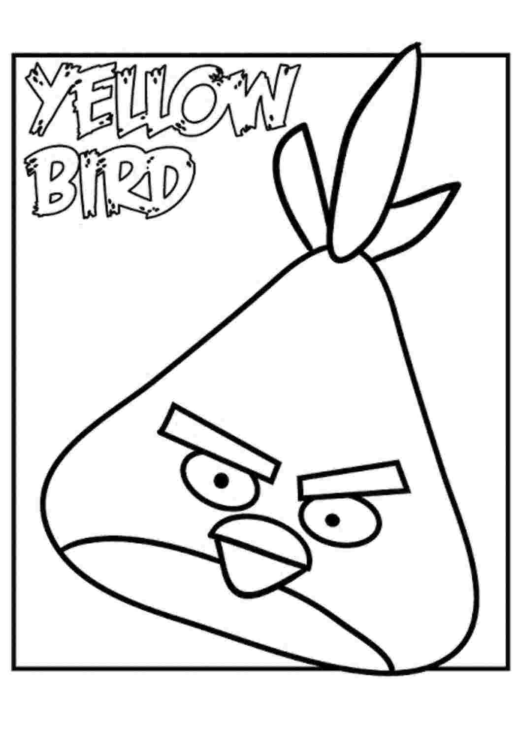 Раскраска Пташка з Angry Birds