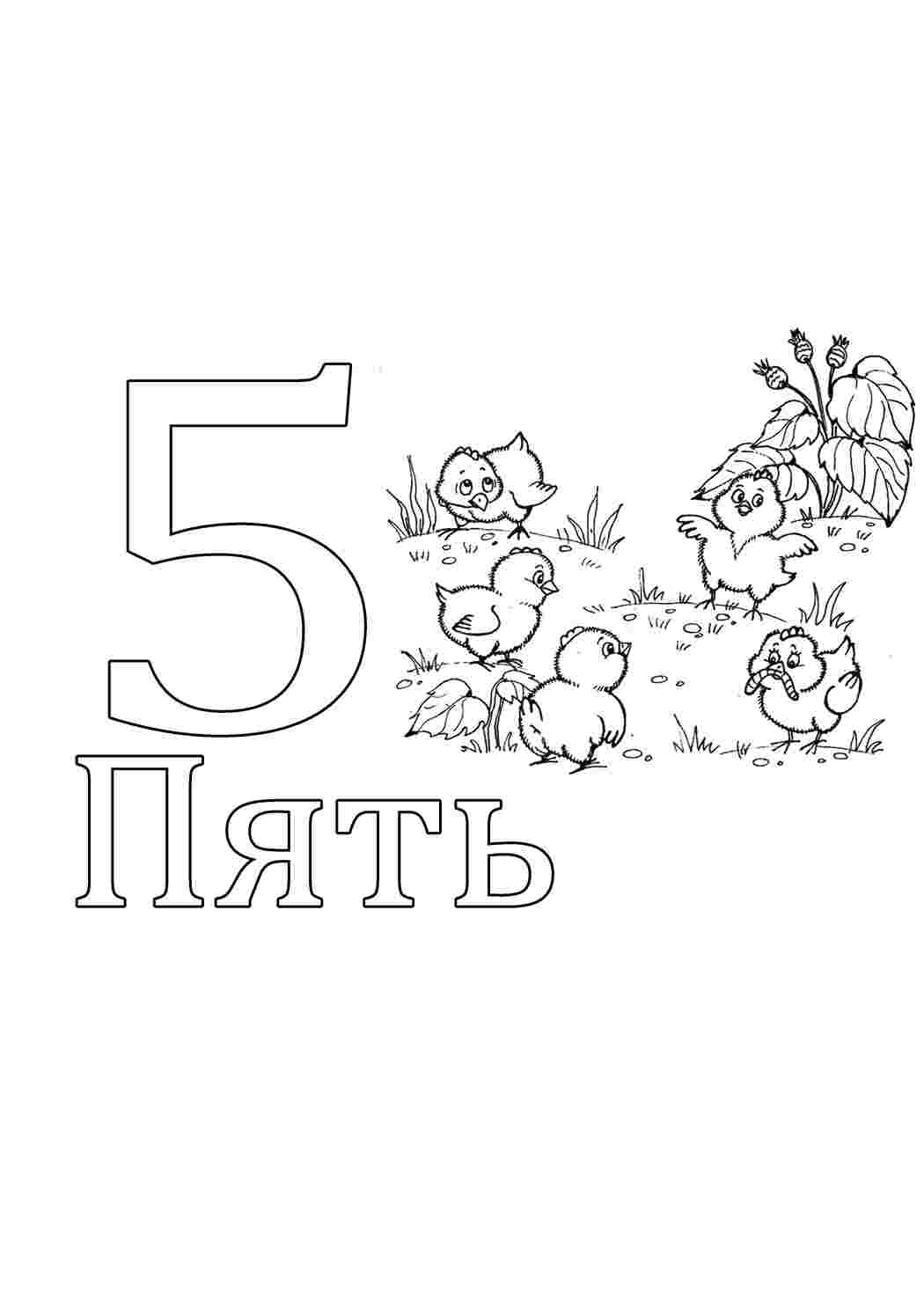 Раскраска Розфарбування з цифрами
