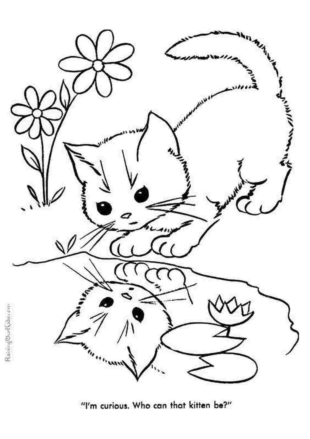 Раскраска Кошеня у калюжі