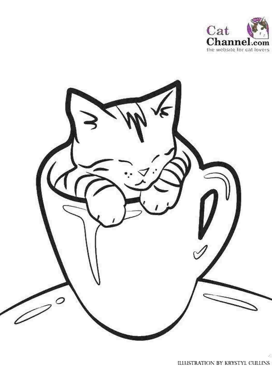 Раскраска Кошеня у чашці