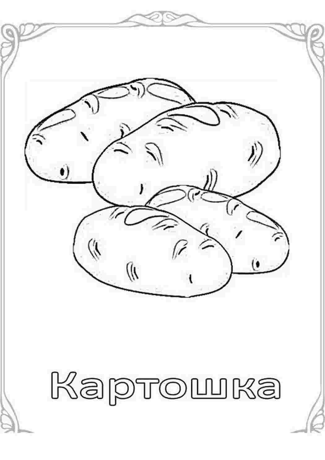 Раскраска Розфарбовувашки для дітей фрукти та овочі картка