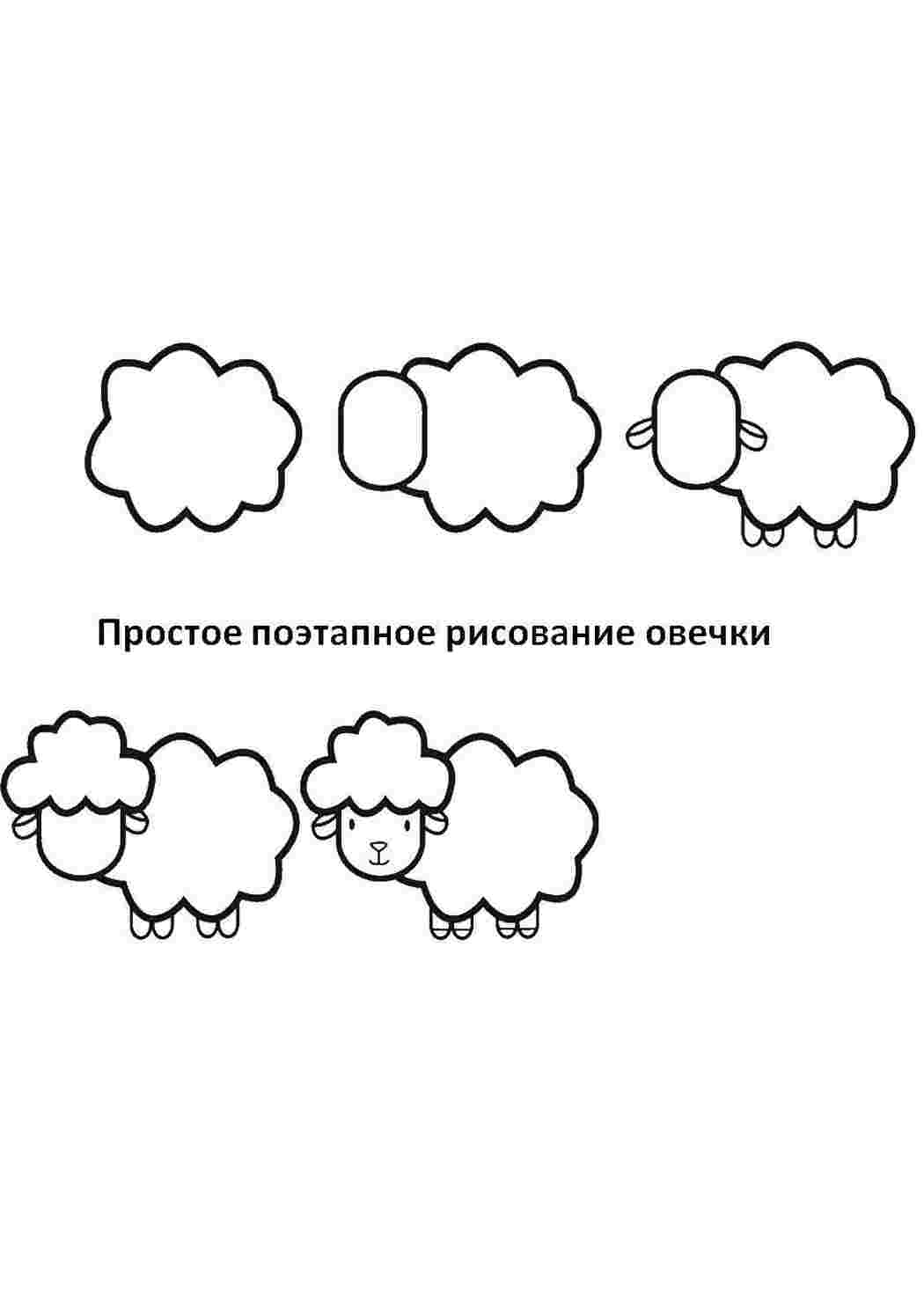 Раскраска Покроково малюємо вівцю