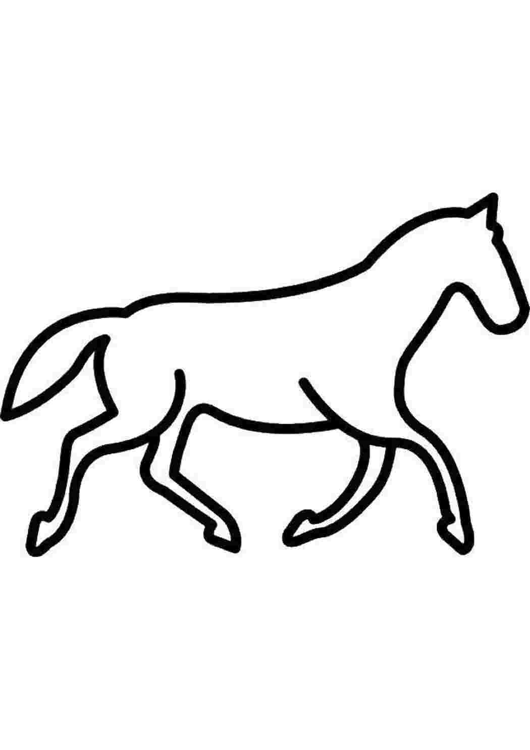 Раскраска Силует коня