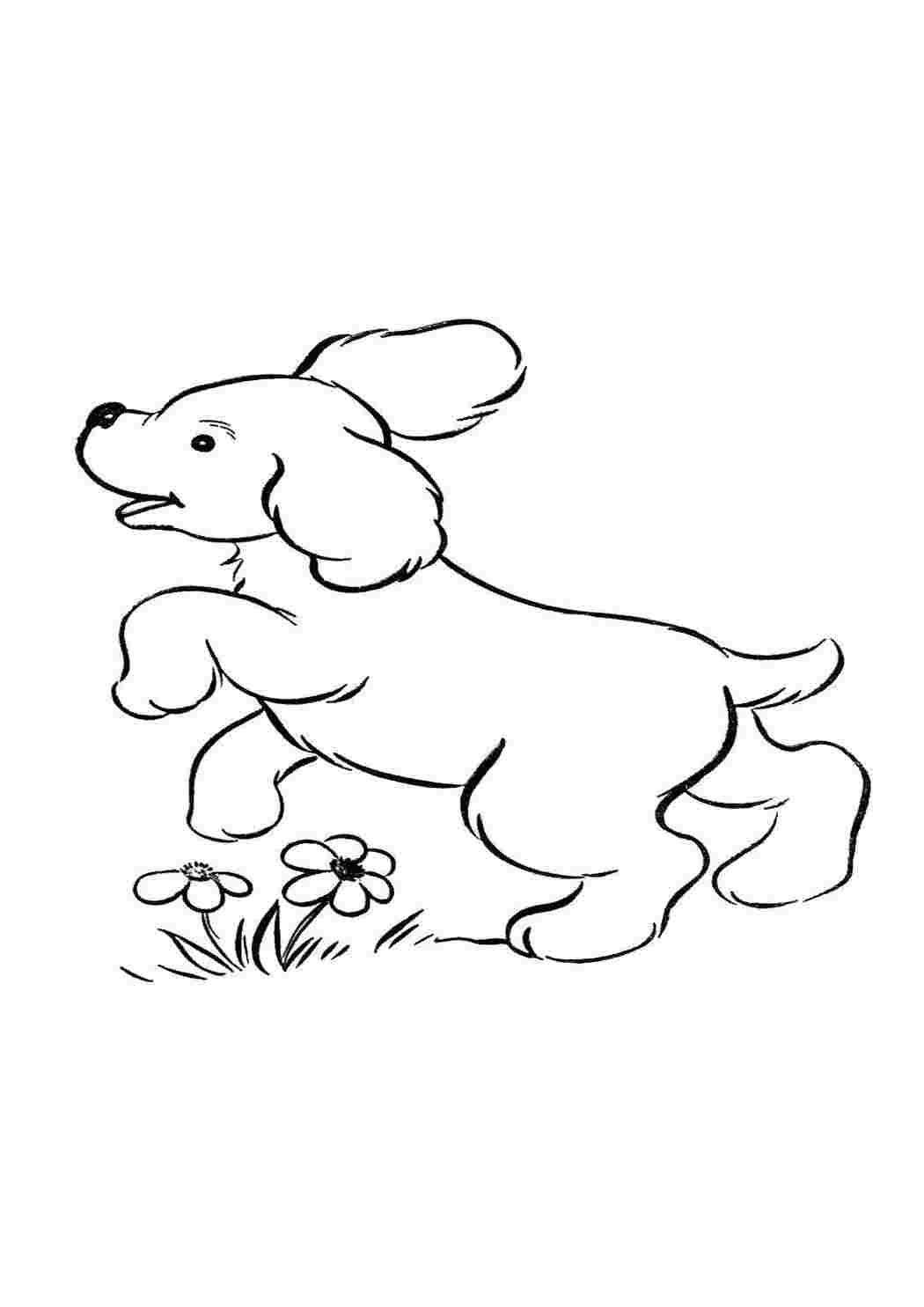 Раскраска Щеня з ромашками