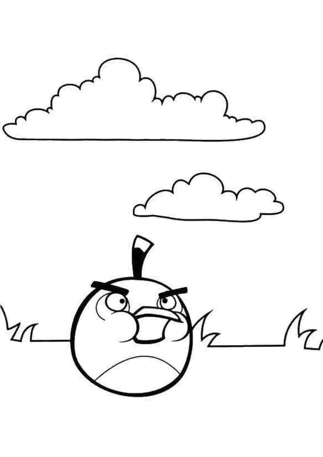 Раскраска Пташка з Angry Birds