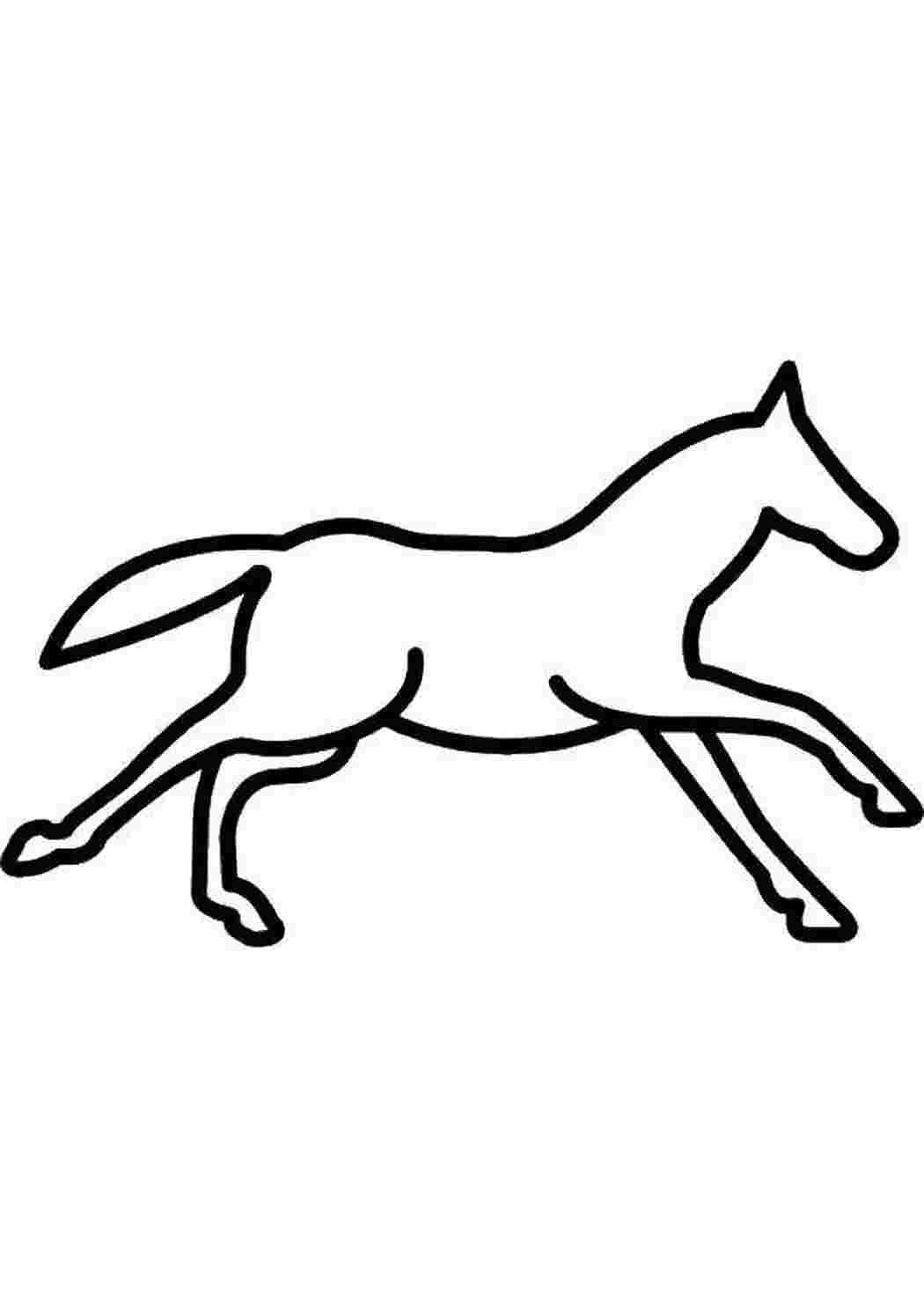 Раскраска кінь