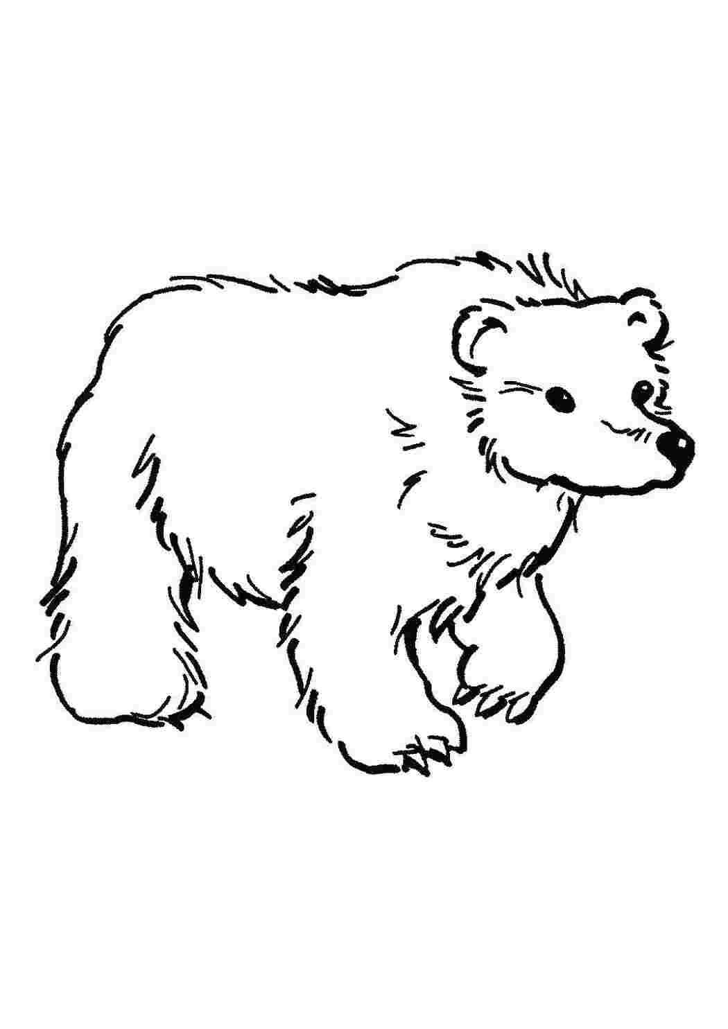 Раскраска Мишко