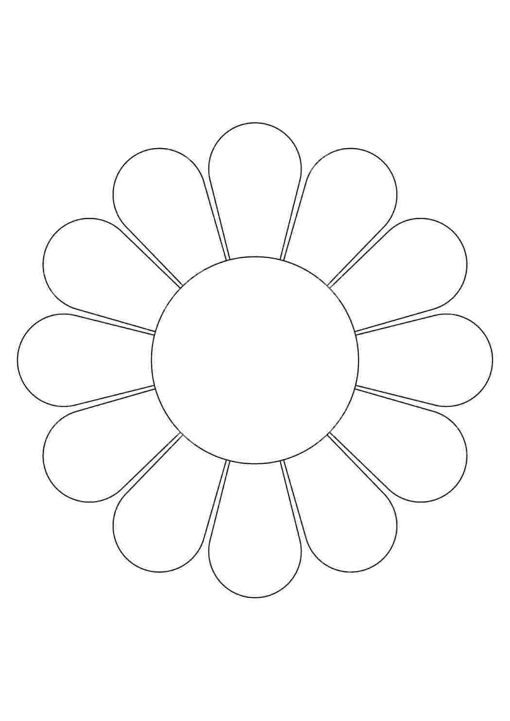 Раскраска Ромашка