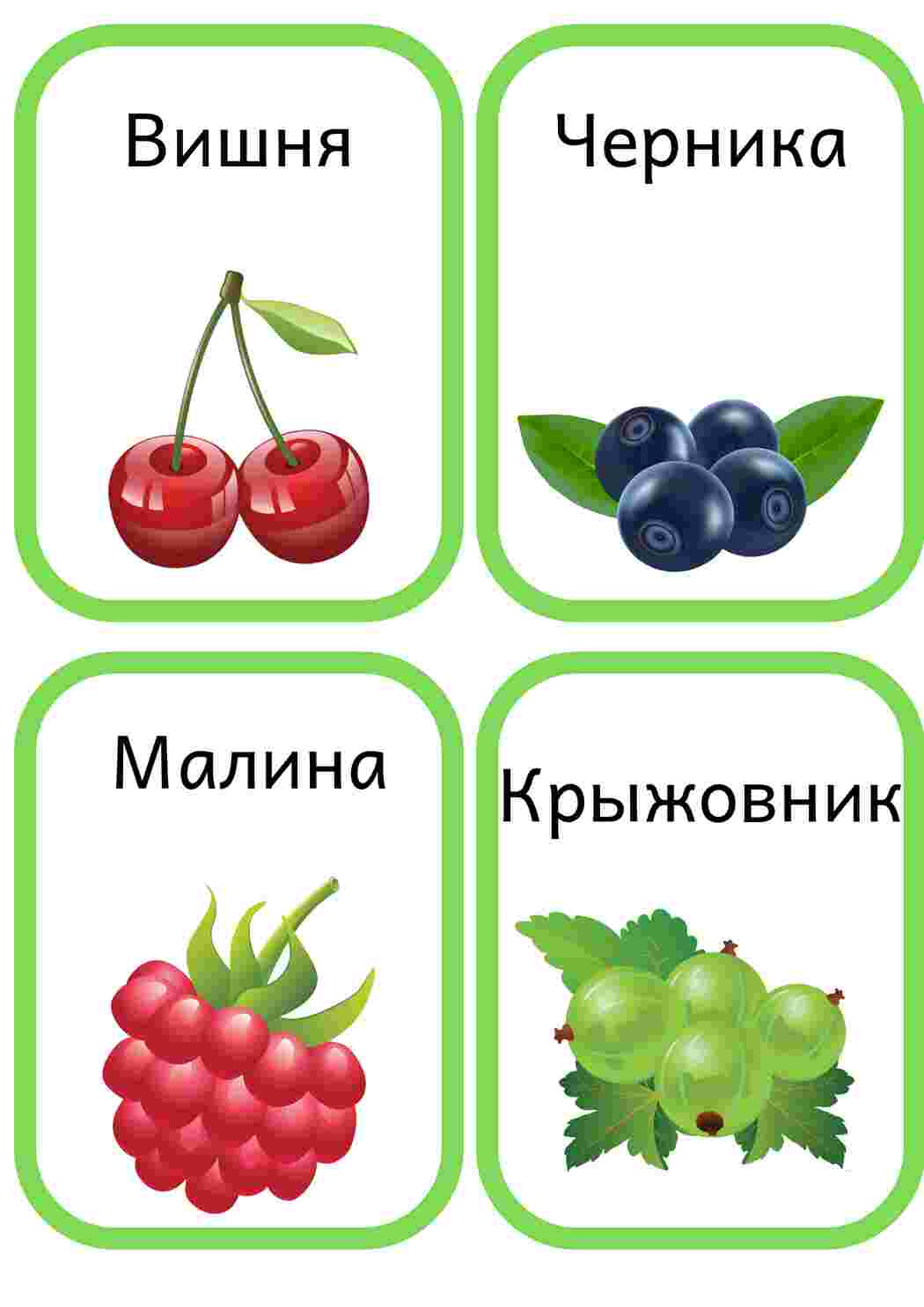 Раскраска Картки з ягодами та фруктами для раннього розвитку Уроки природознавства для дошкільнят