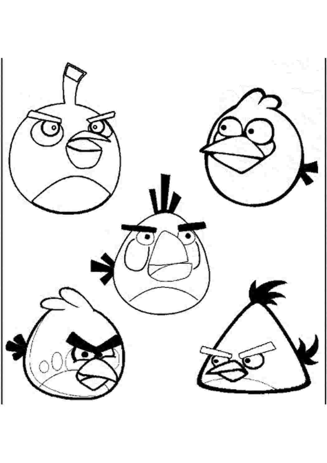 Раскраска Пташки з Angry Birds дуже злі