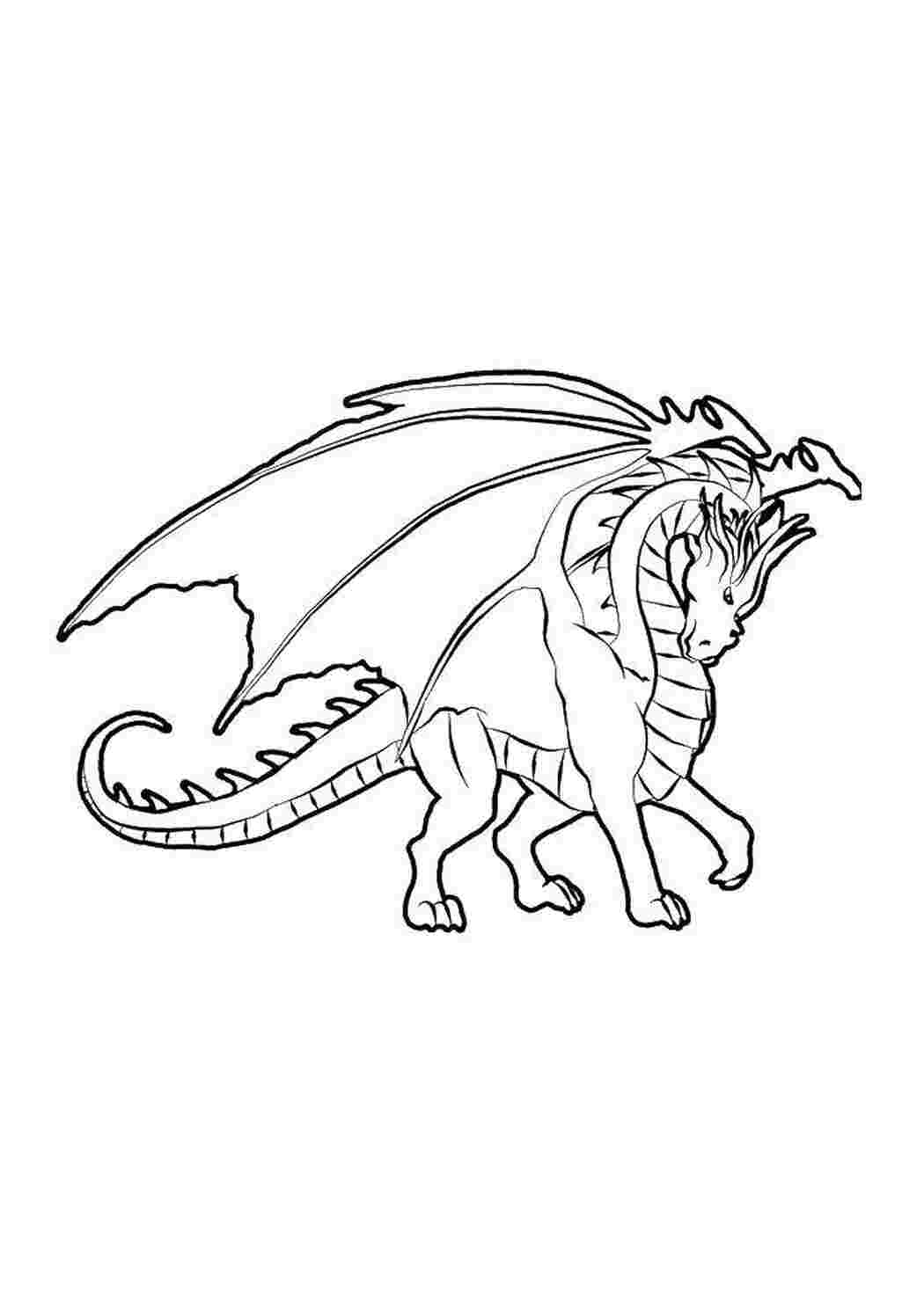 Раскраска Дракон з крильми