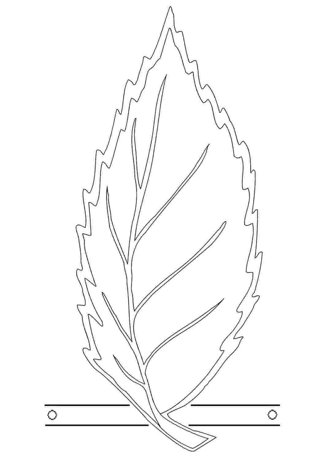 Раскраска Лист
