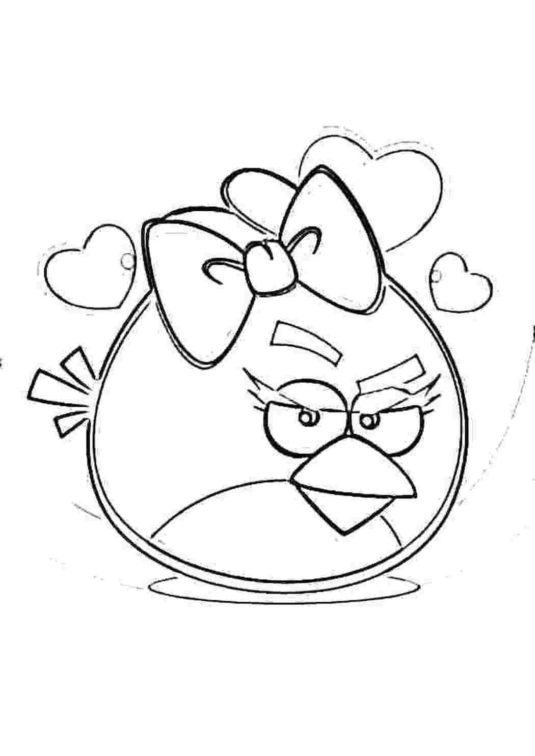 Раскраска Пташка з Angry Birds