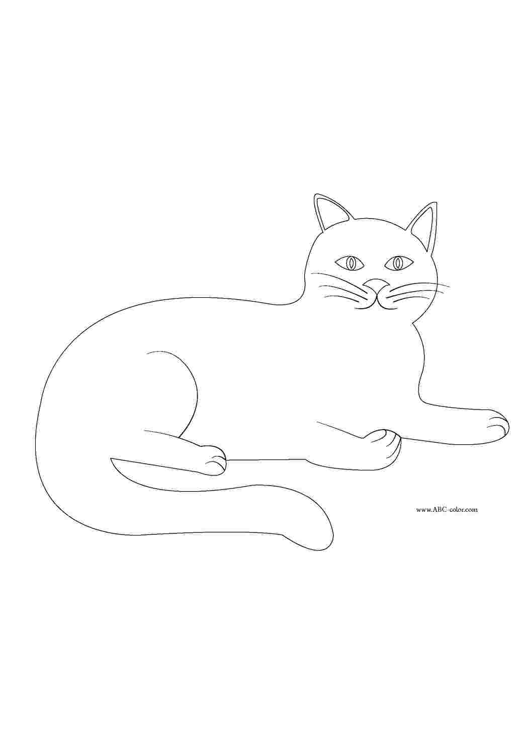Раскраска кольоринка кошки, кошеня лежить