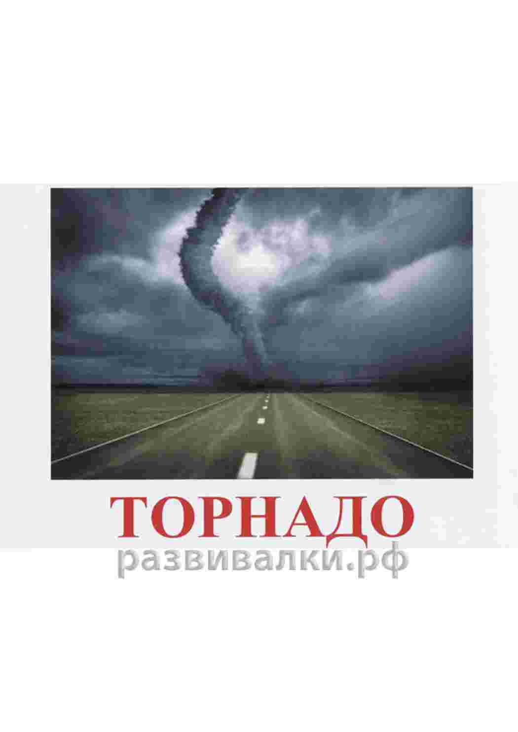 Раскраска картка часів року зима осінь літо осінь