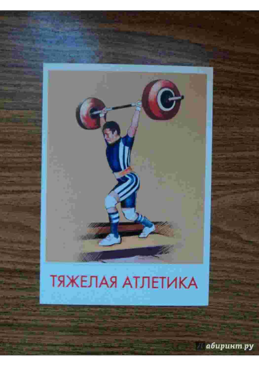 Раскраска види спорту