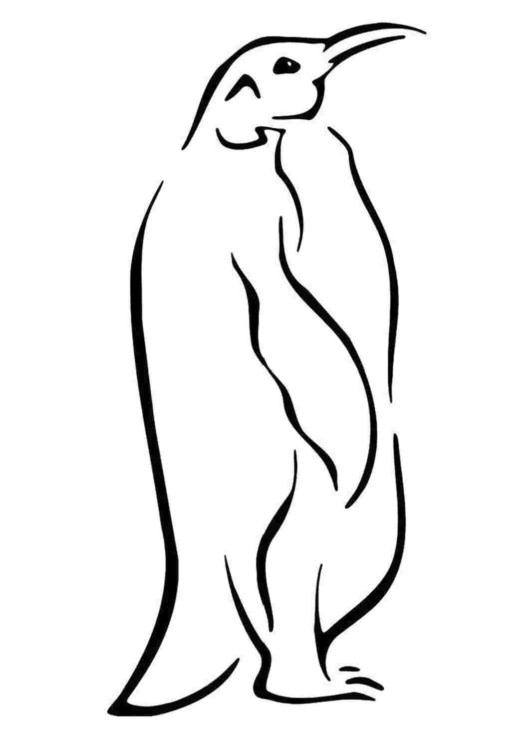 Раскраска Розфарбування Пінгвін намальований
