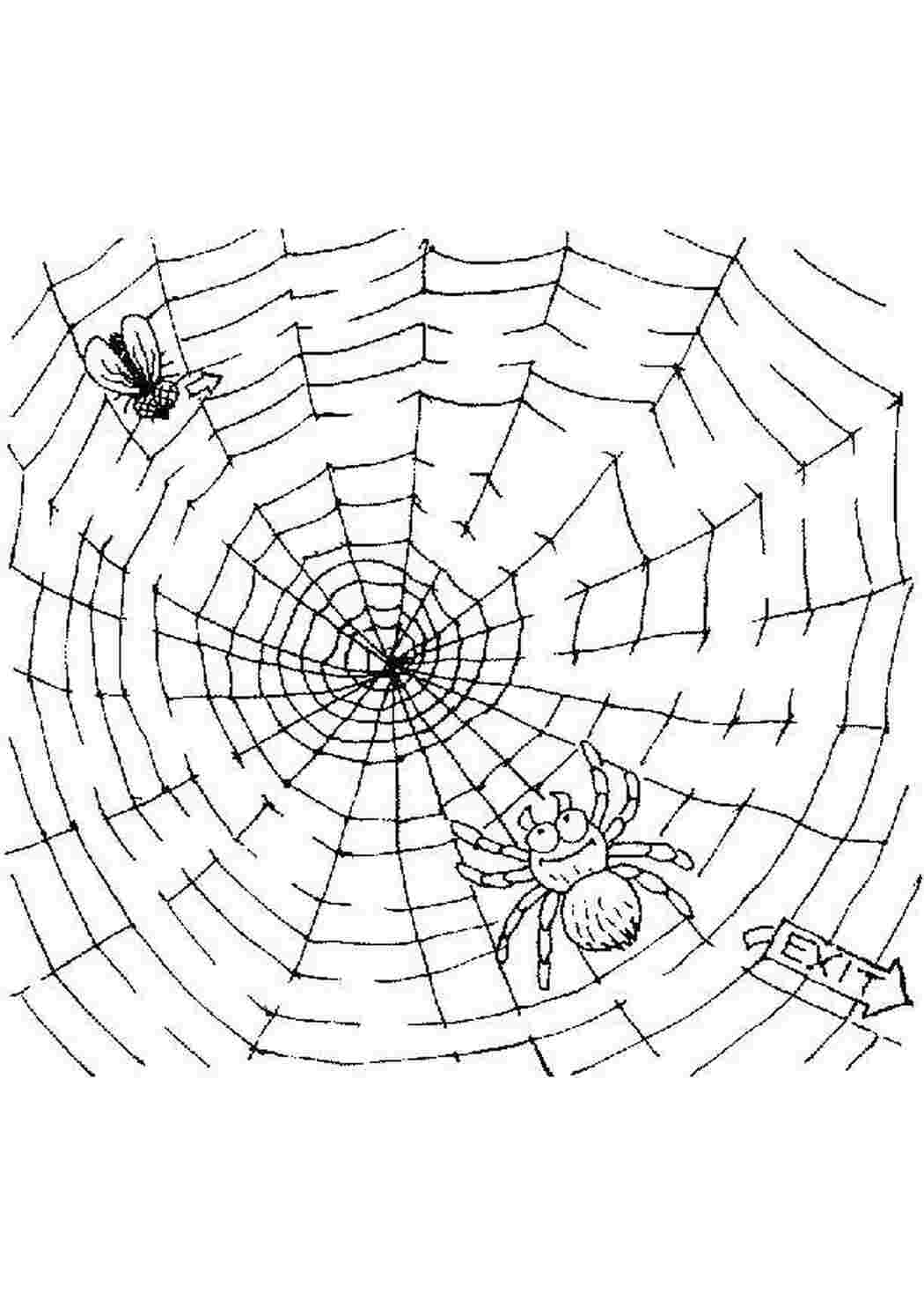 Раскраска Допоможи мусі