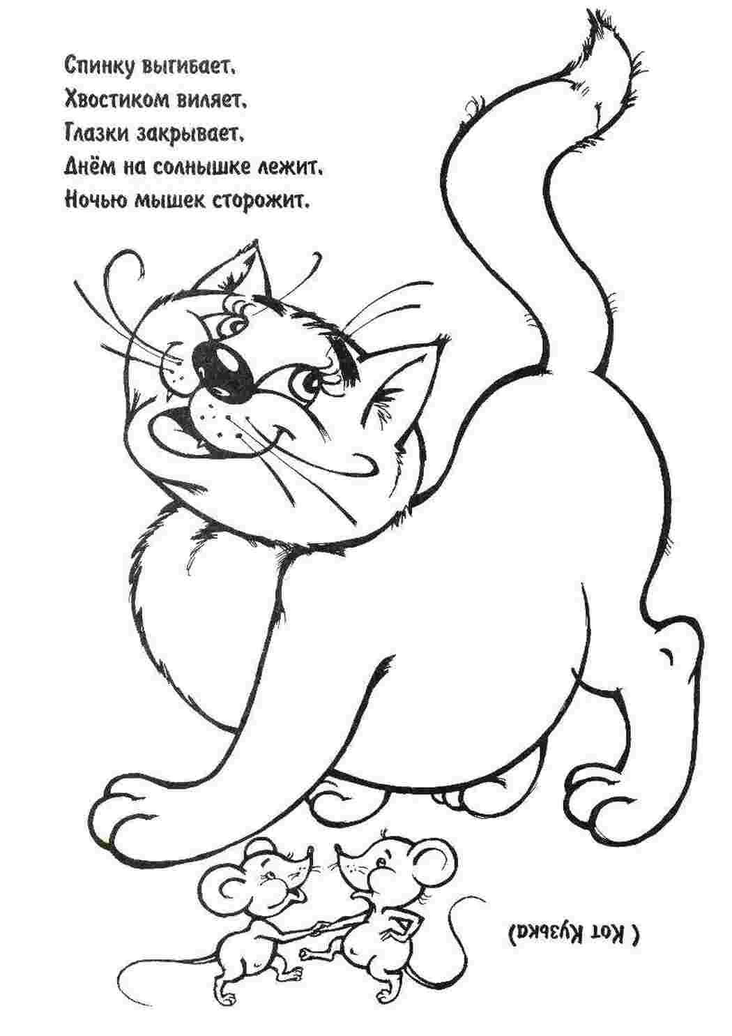 Раскраска Загадка про котика