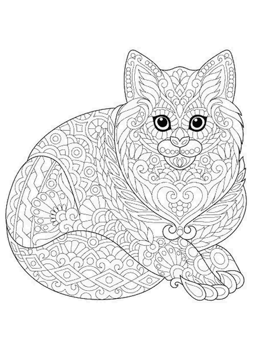 Раскраска Складна кошка-антистрес