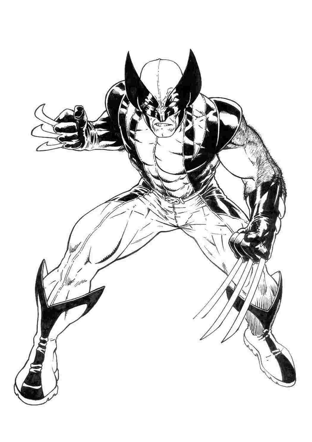 Раскраска Росомаха