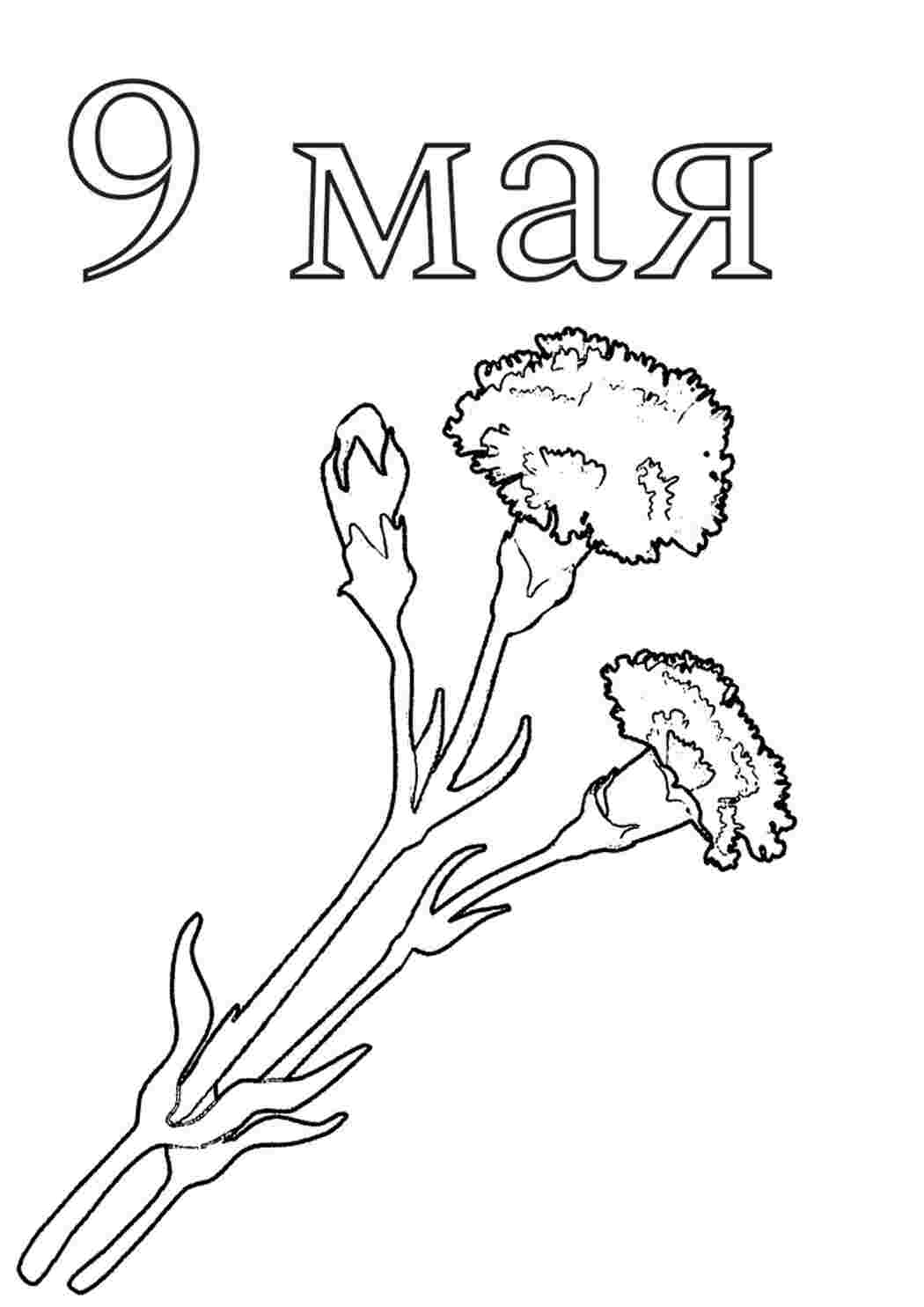 Раскраска Гарні розмальовки Квіти розмальовка привітання