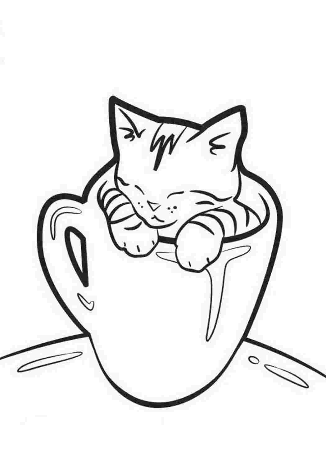 Раскраска Кошеня в чашці