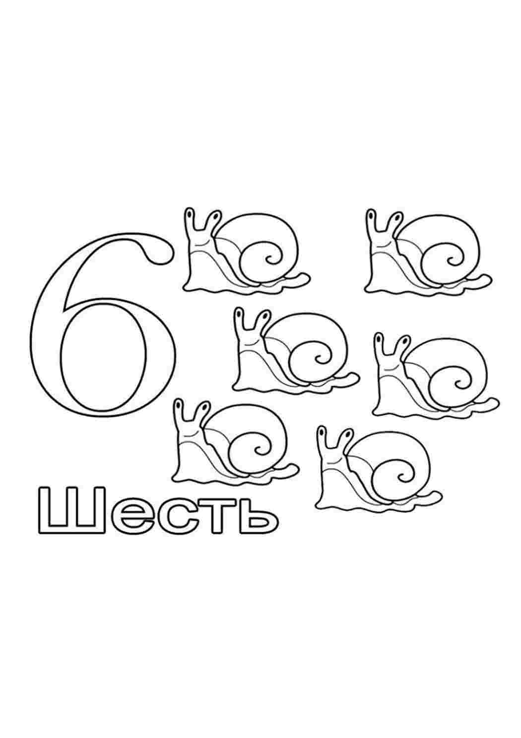 Раскраска Шість