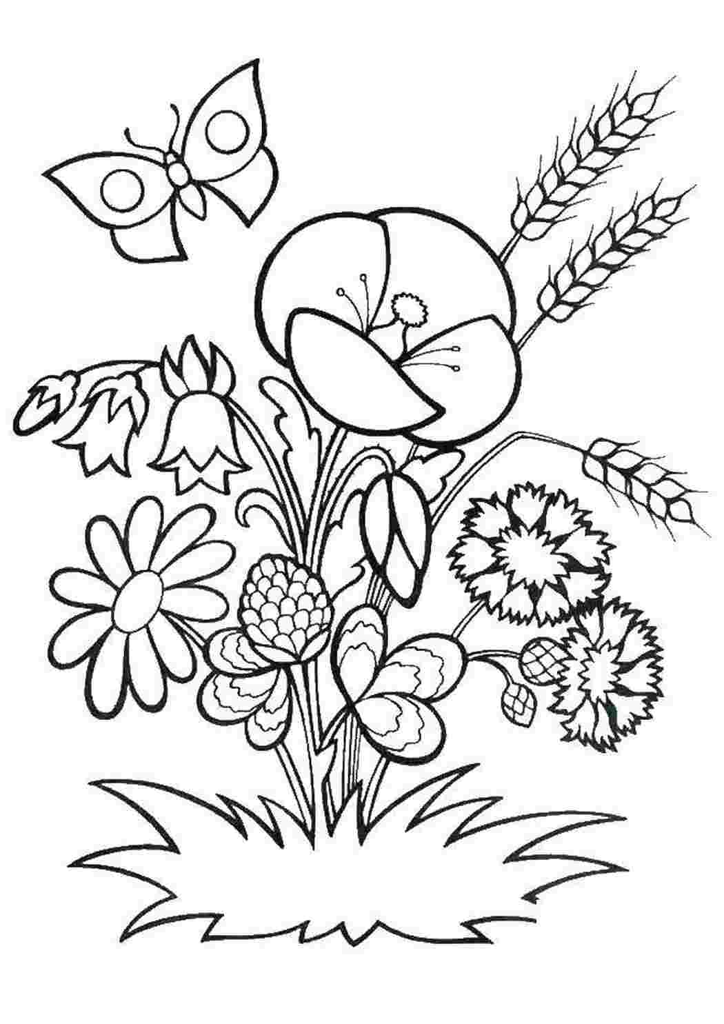 Раскраска Квіти