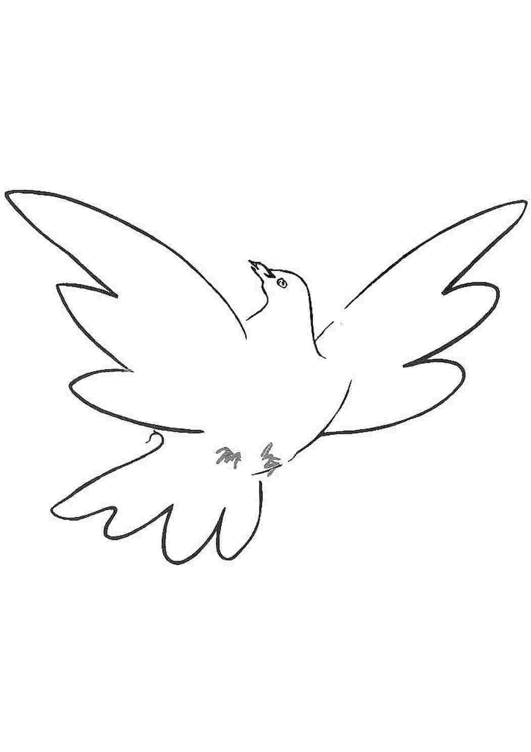 Раскраска Голубь летить