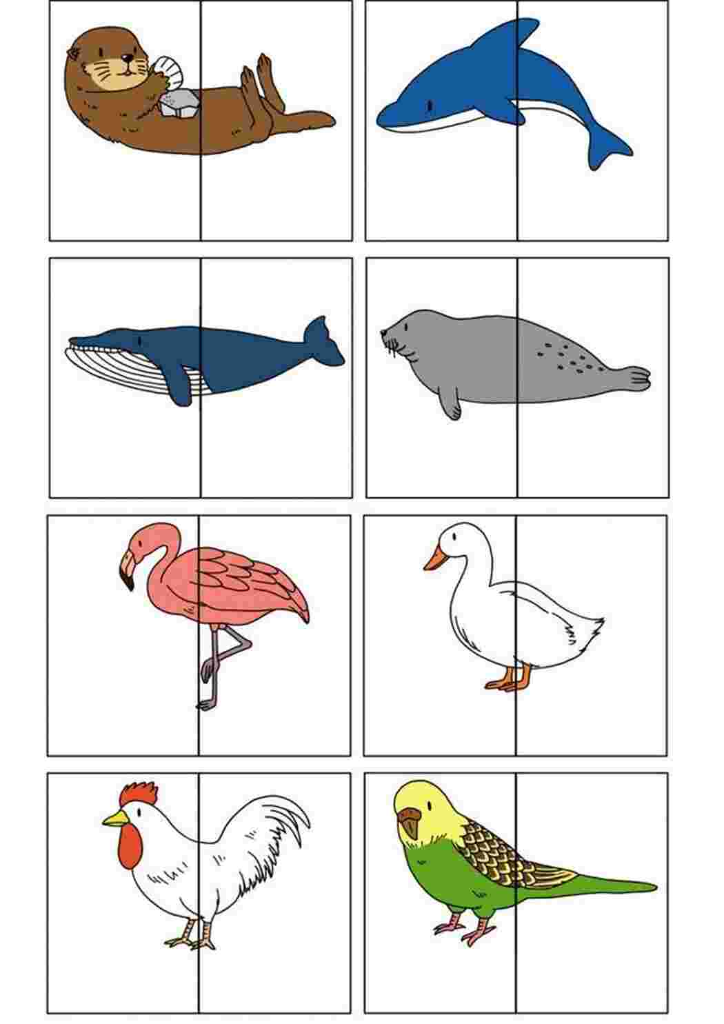 Раскраска Картки які потрібно вирізати та дати дітям щоб вони знайшли пару