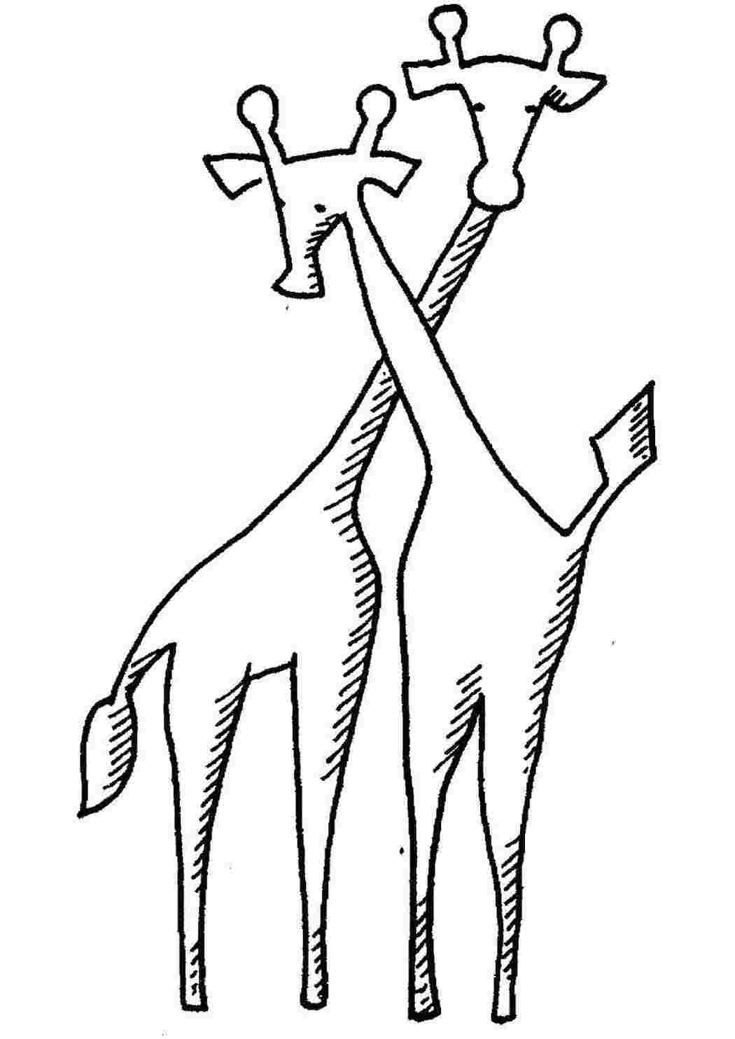 Раскраска Жирафики