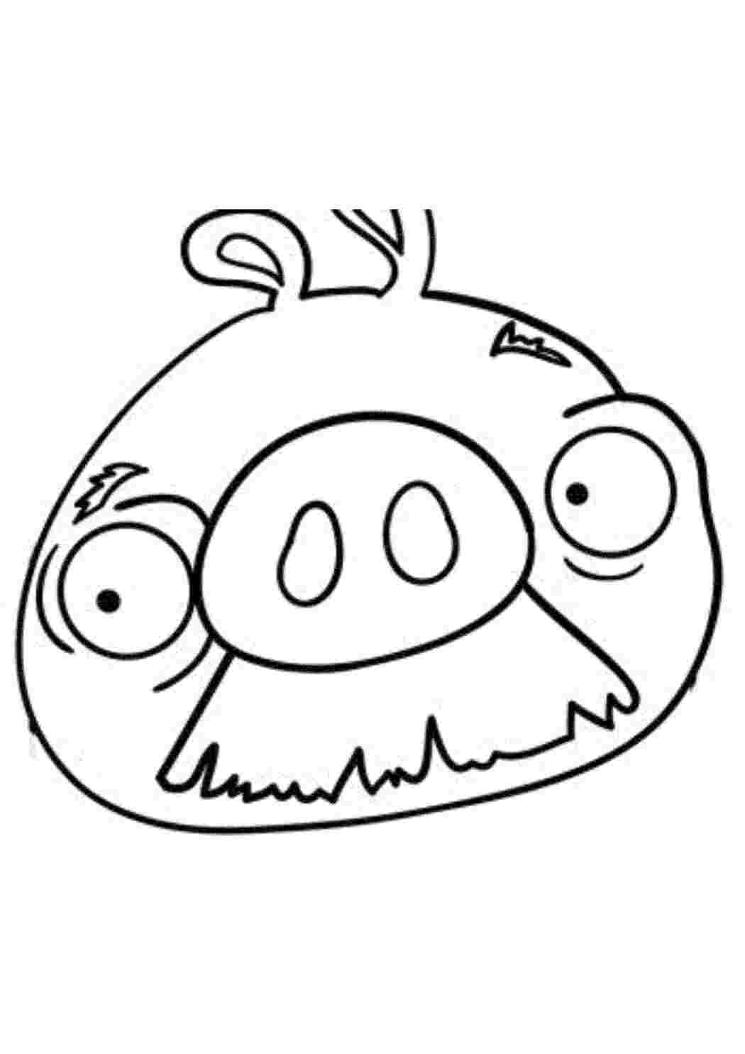 Раскраска Свиня з Angry Birds
