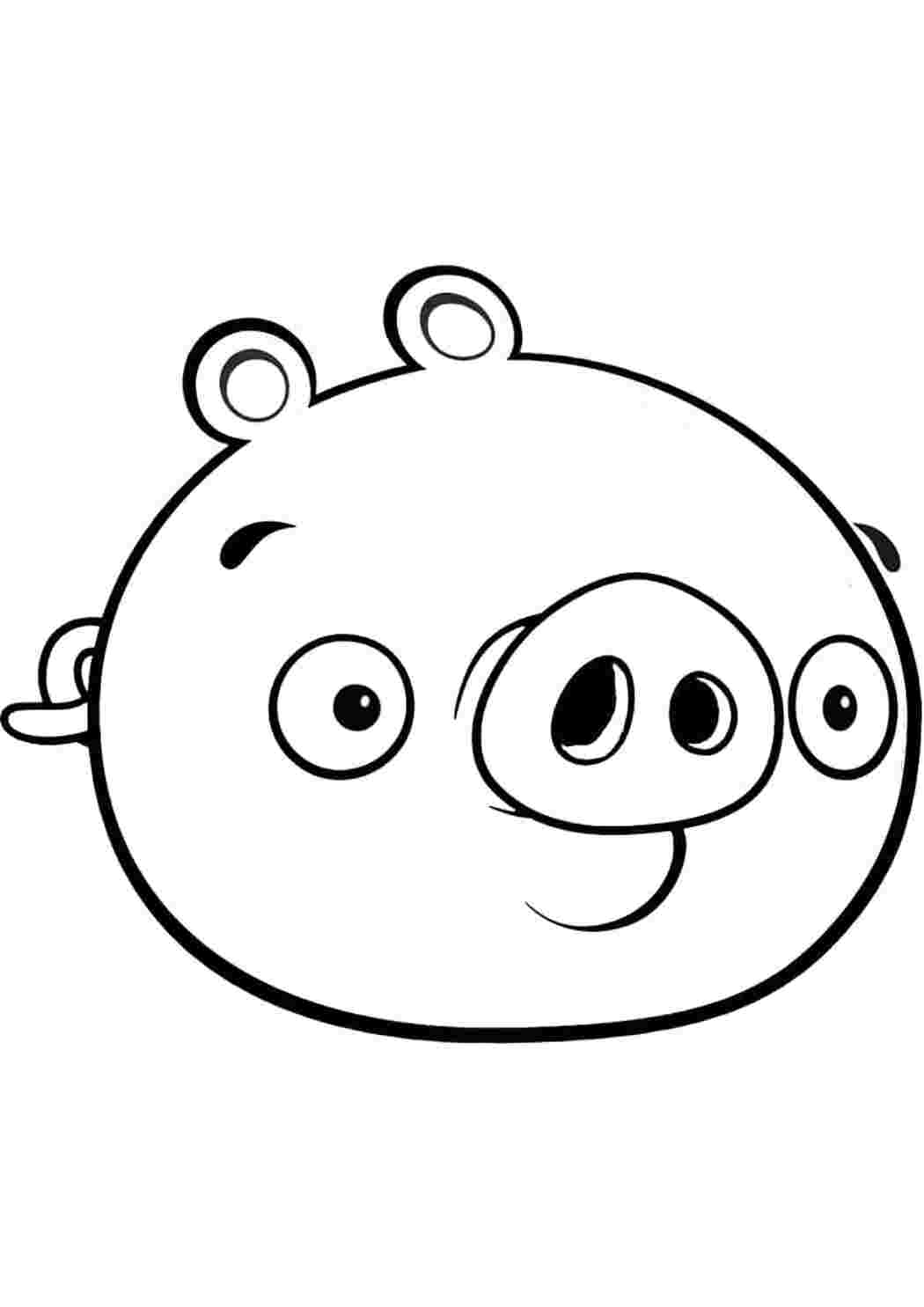 Раскраска Гарні розмальовки Чотири пташечки з мультфільму Енгрі Бердз