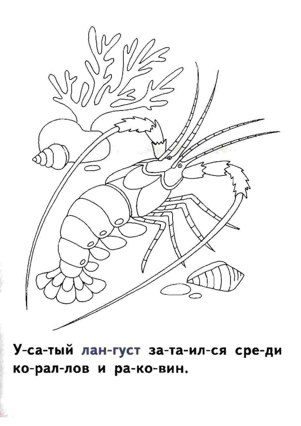 Раскраска Розфарбування для дітей