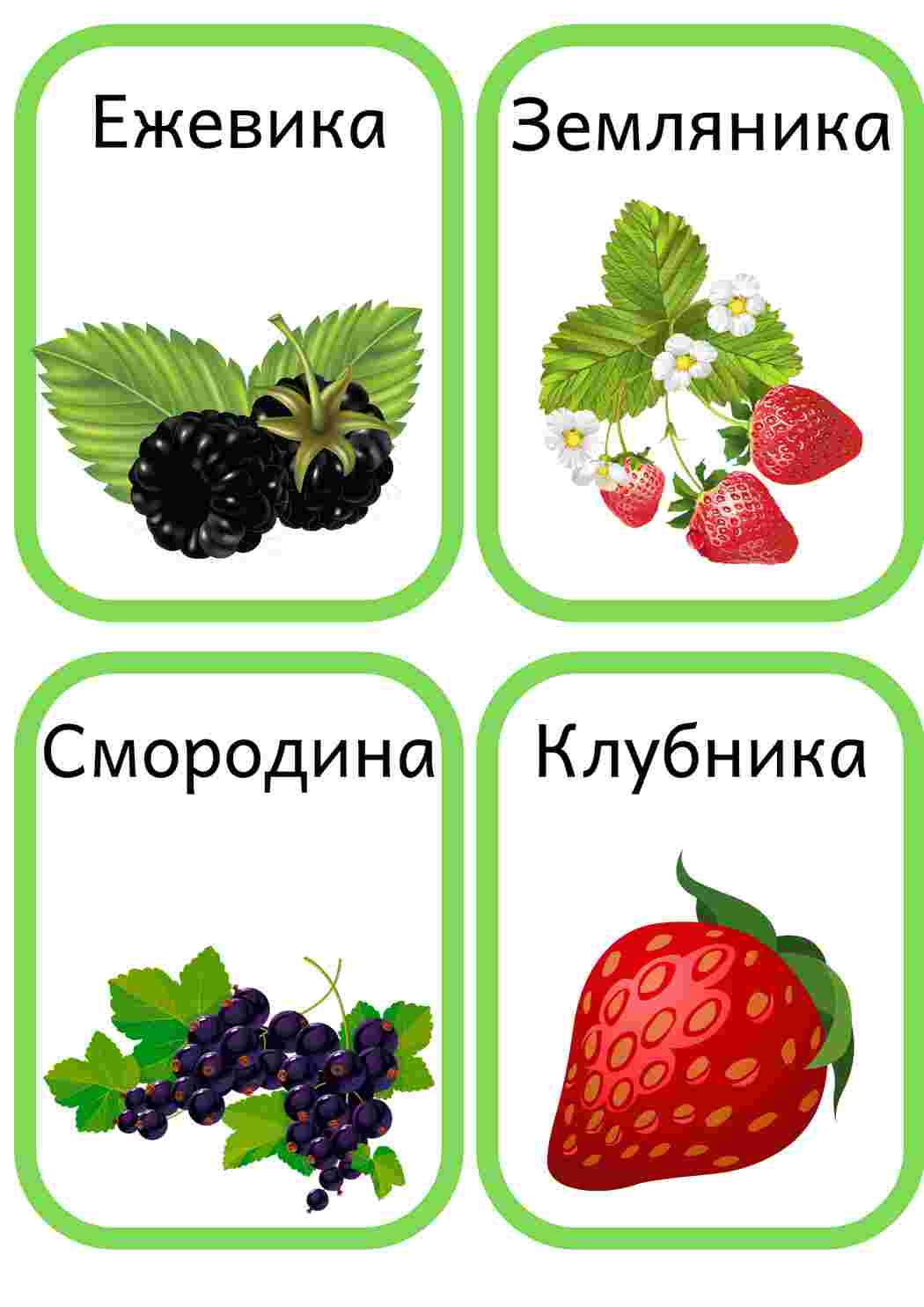 Раскраска Картки з ягодами та фруктами для раннього розвитку Уроки природознавства для дошкільнят