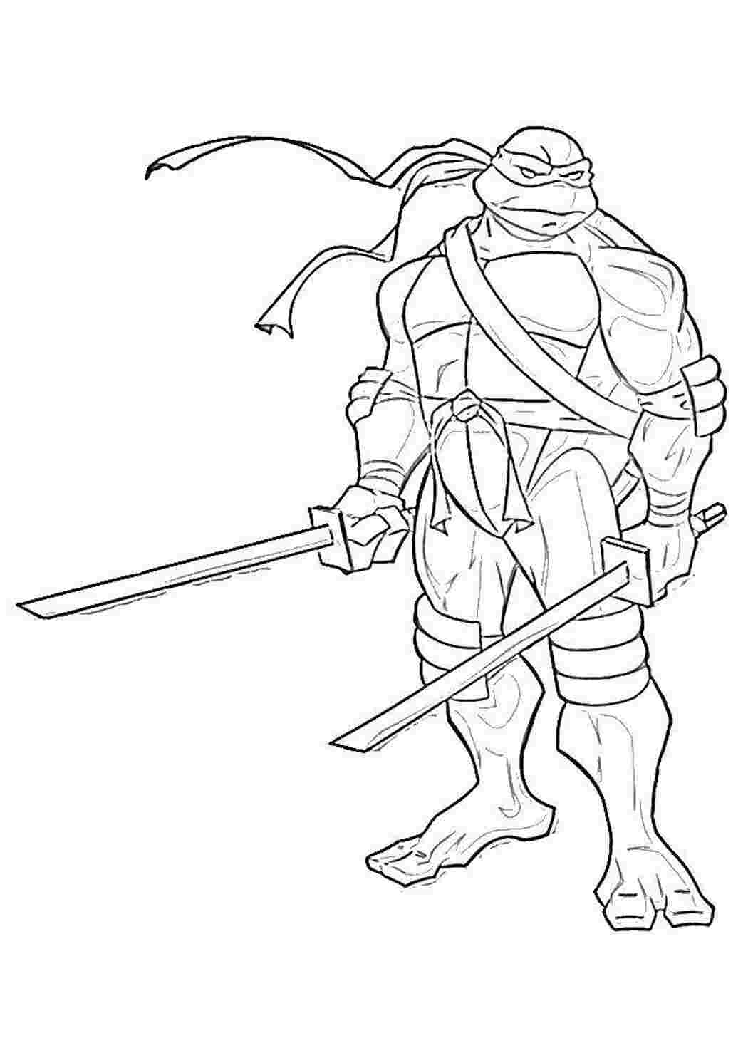 Раскраска Рафаель