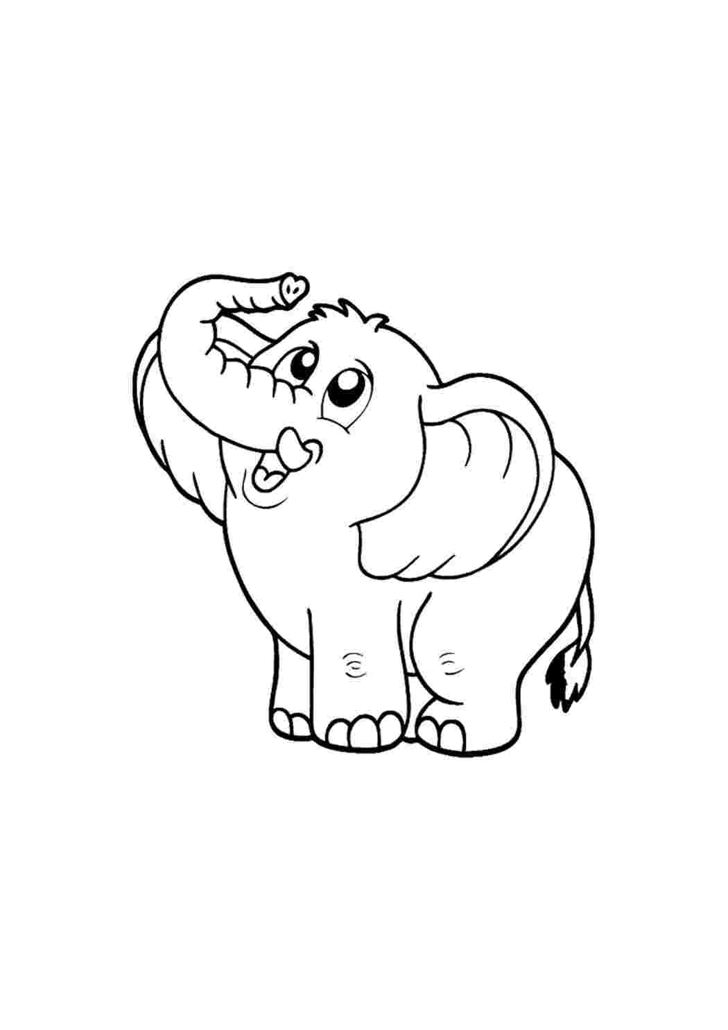 Раскраска Гарні розмальовки Милий звір